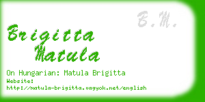brigitta matula business card